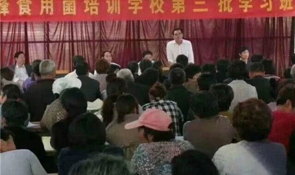 精彩回顧