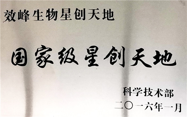 國家級星創天地