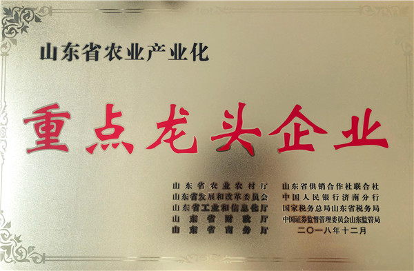 重點龍頭企業