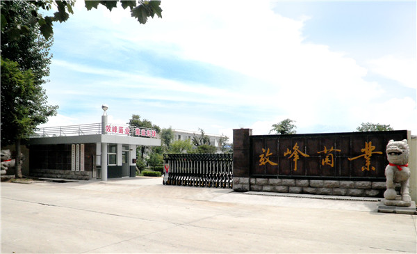 集團環境