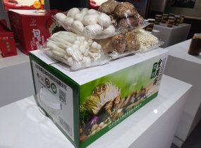有機食用菌組合