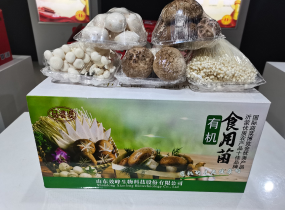 有機食用菌鮮品