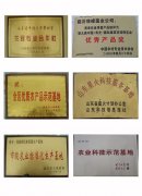獲得獎牌