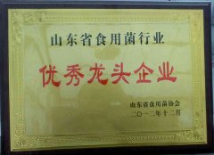 優秀龍頭企業